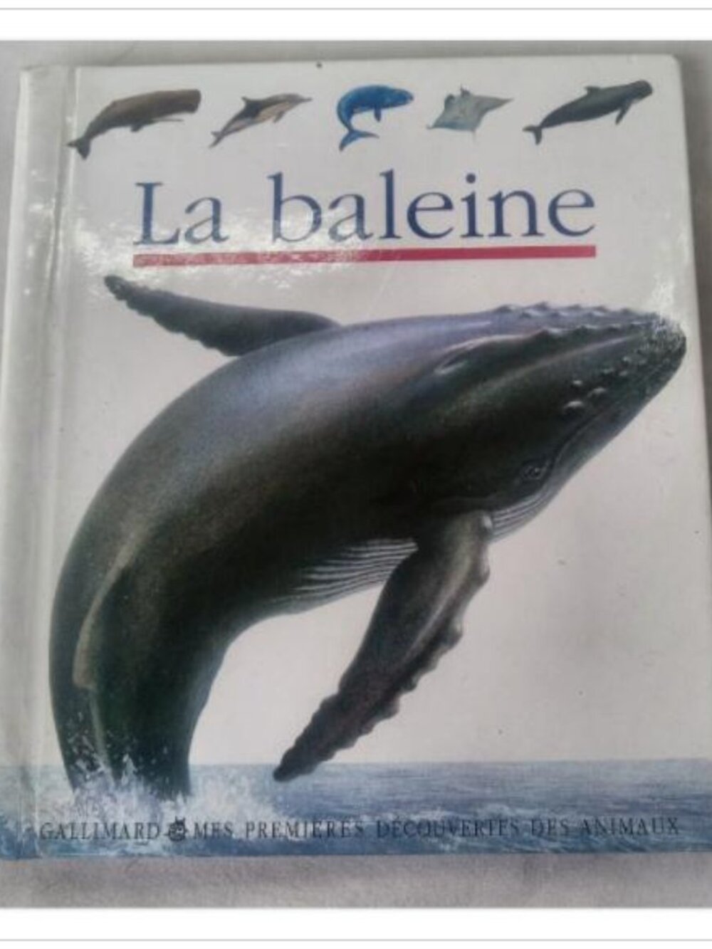 La baleine Claude Delafosse Hardcover Book Vintage Novel Read Classic